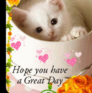 Meet your Posher, Nichole